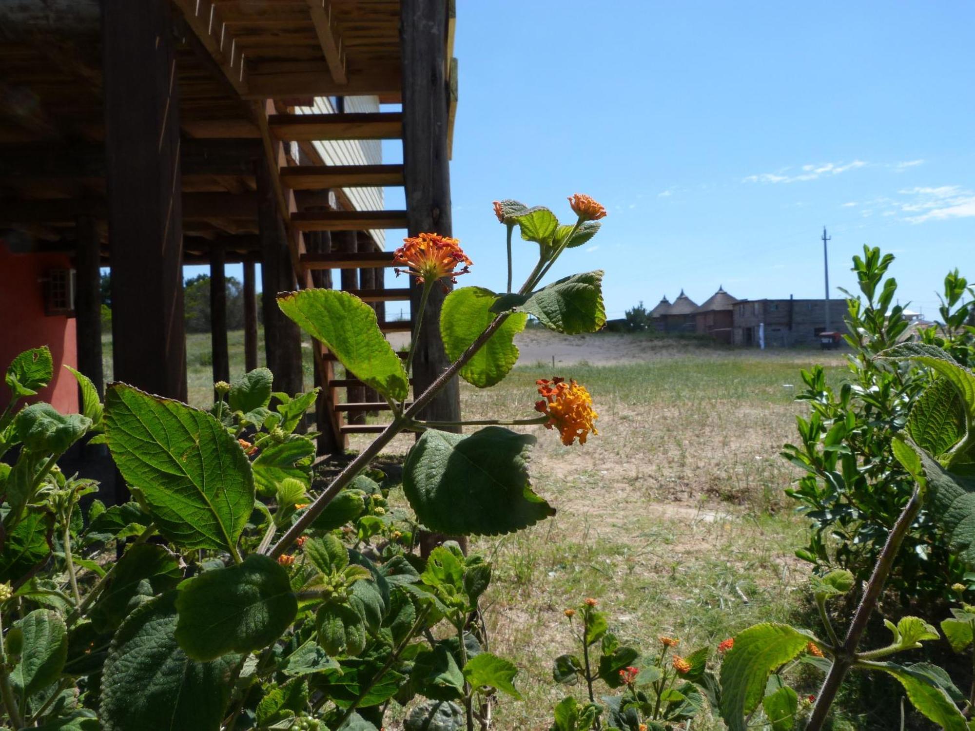 Cabanas El Ocio Punta Del Diablo Εξωτερικό φωτογραφία